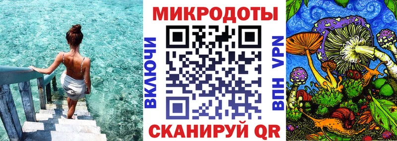 Купить закладки  Липки  Псилоцибиновые грибы GOLDEN TEACHER 